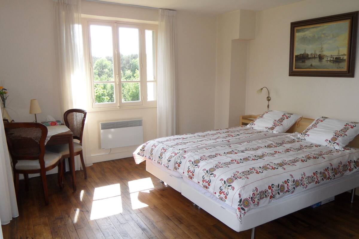 Habitación Royal con 2 camas individuales, balcón | Espacio para trabajar con un portátil y tabla de planchar con plancha