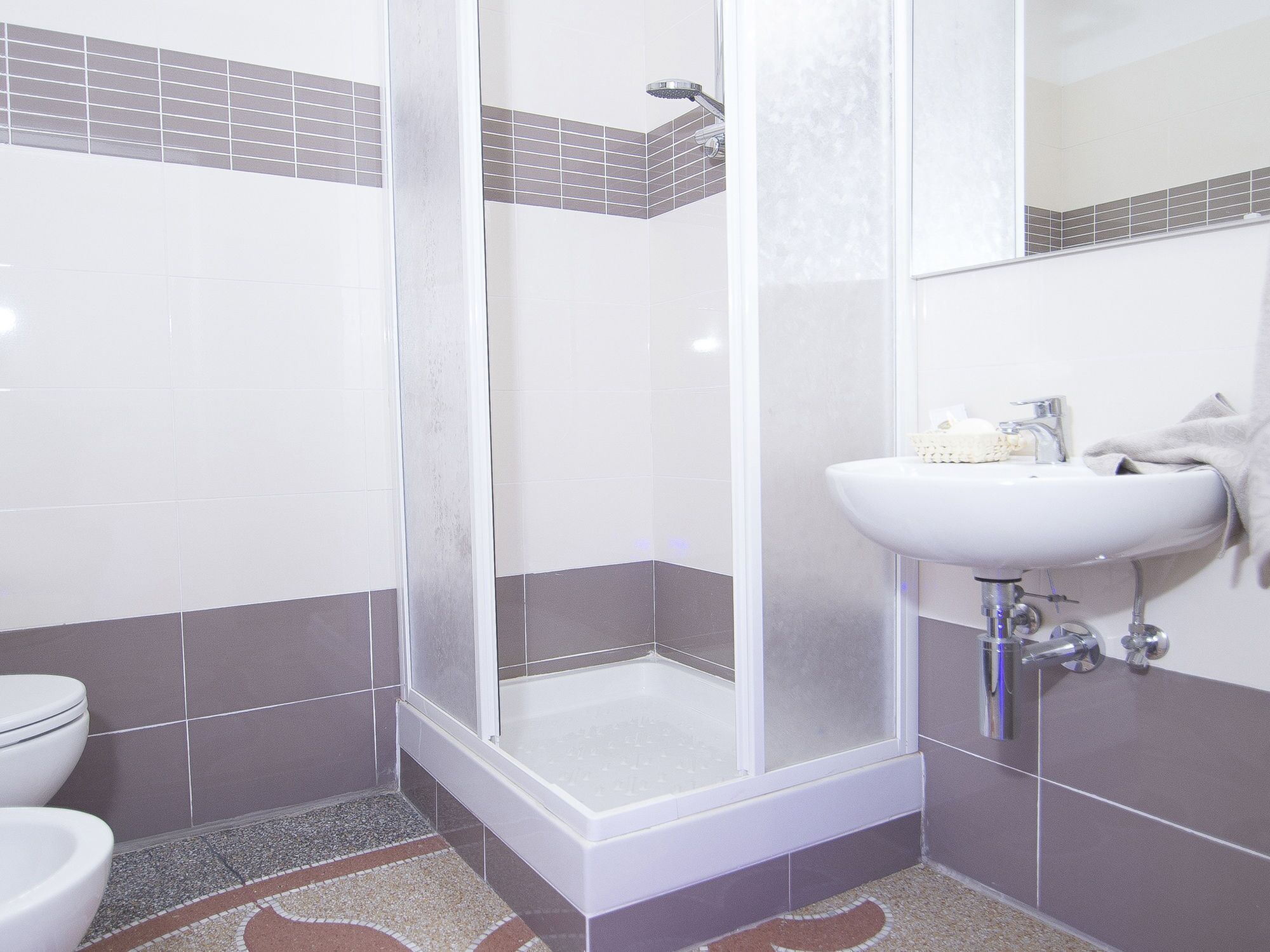 Douche, articles de toilette gratuits, sèche-cheveux, bidet