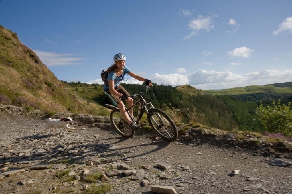 A person riding a mountain bike on a rocky trail with a scenic view of hills and trees.