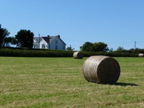 A rural landscape with a white house, hay bales, and a clear blue sky.