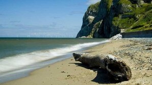 På stranden