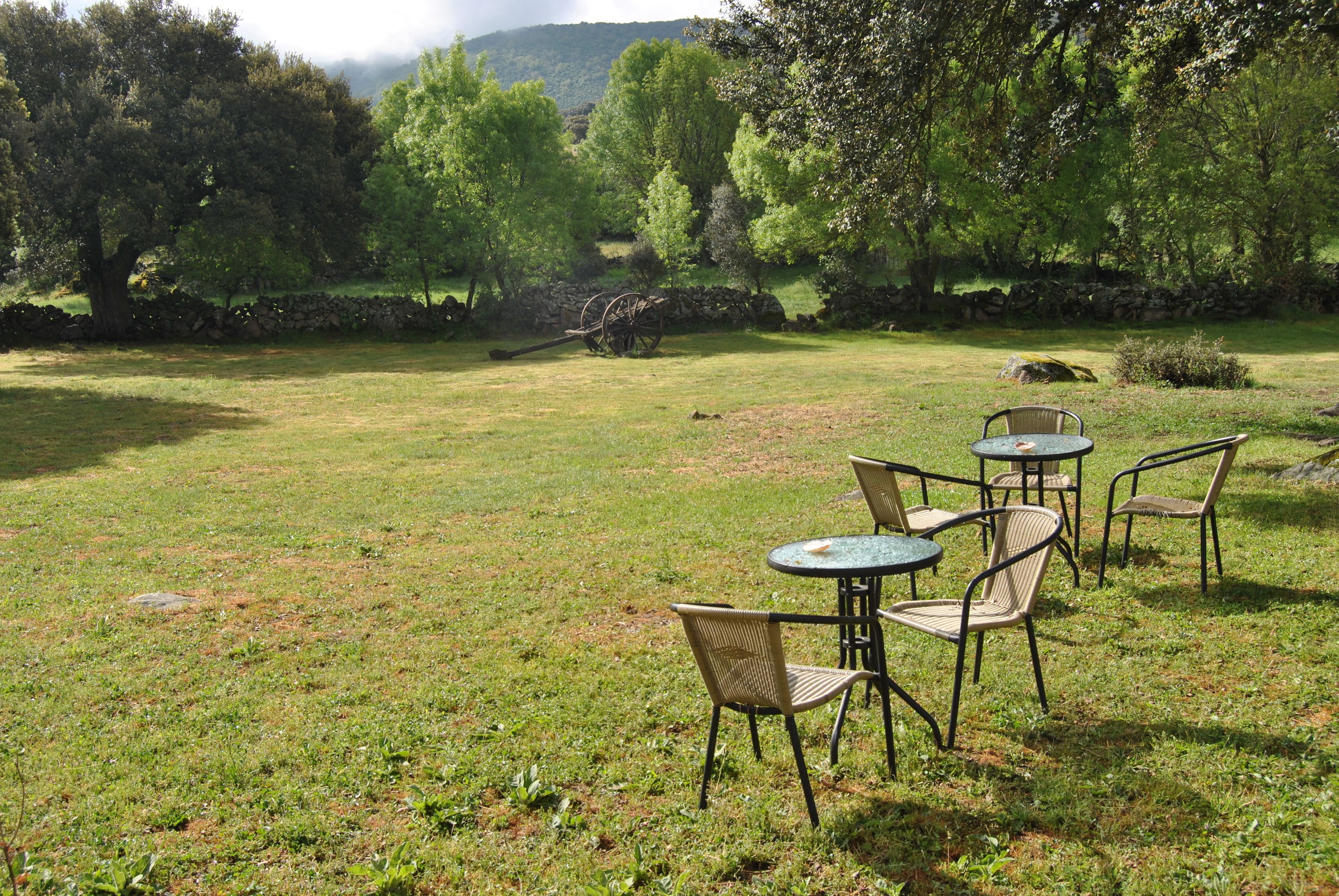 Grill-/Picknickplatz