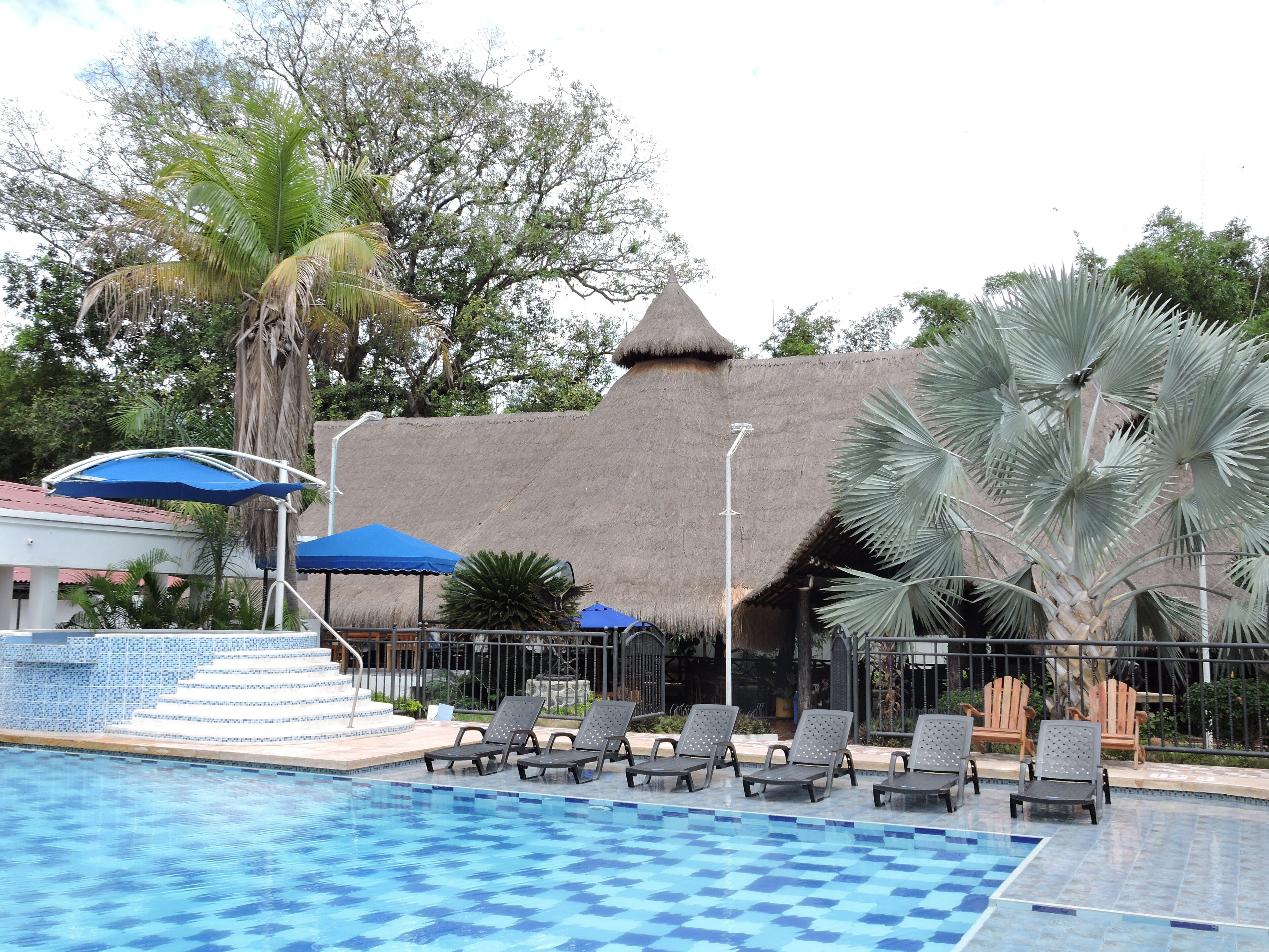 A swimming pool with lounge chairs and umbrellas, surrounded by tropical plants and a thatched-roof building.