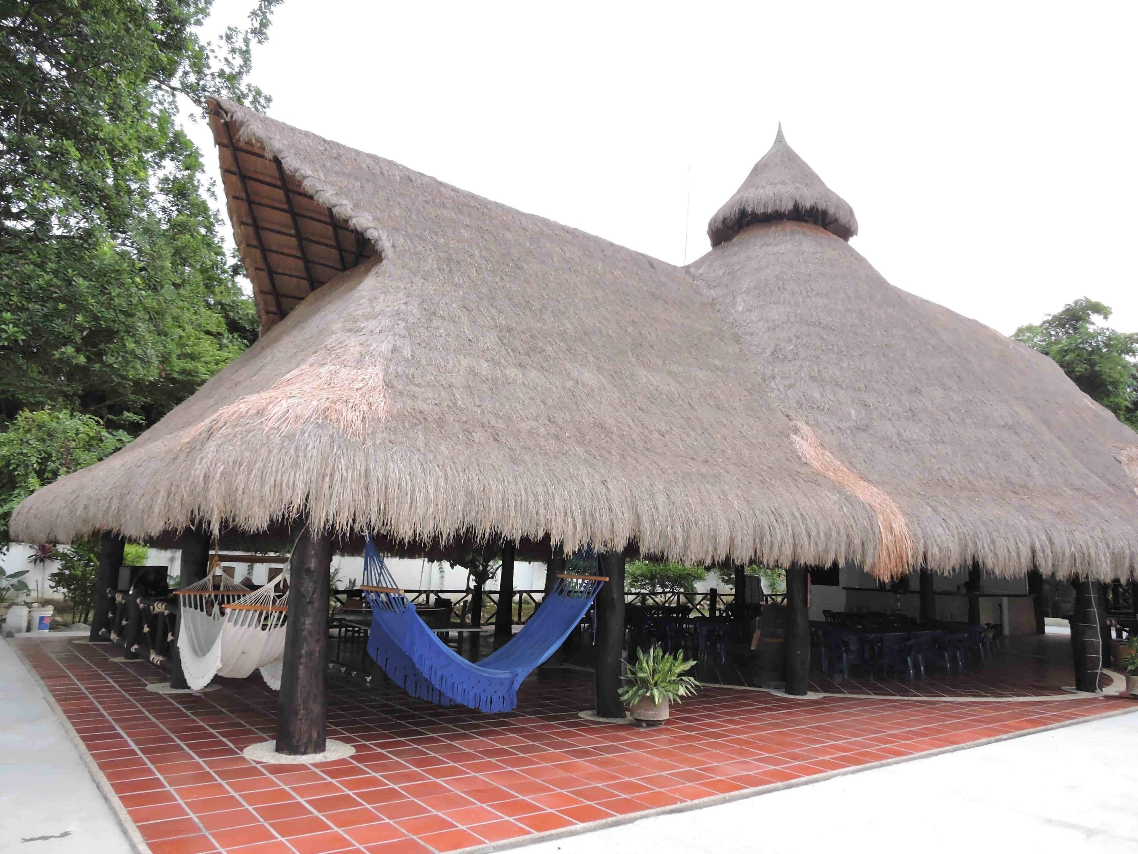 A thatched-roof structure with a hammock and potted plants.