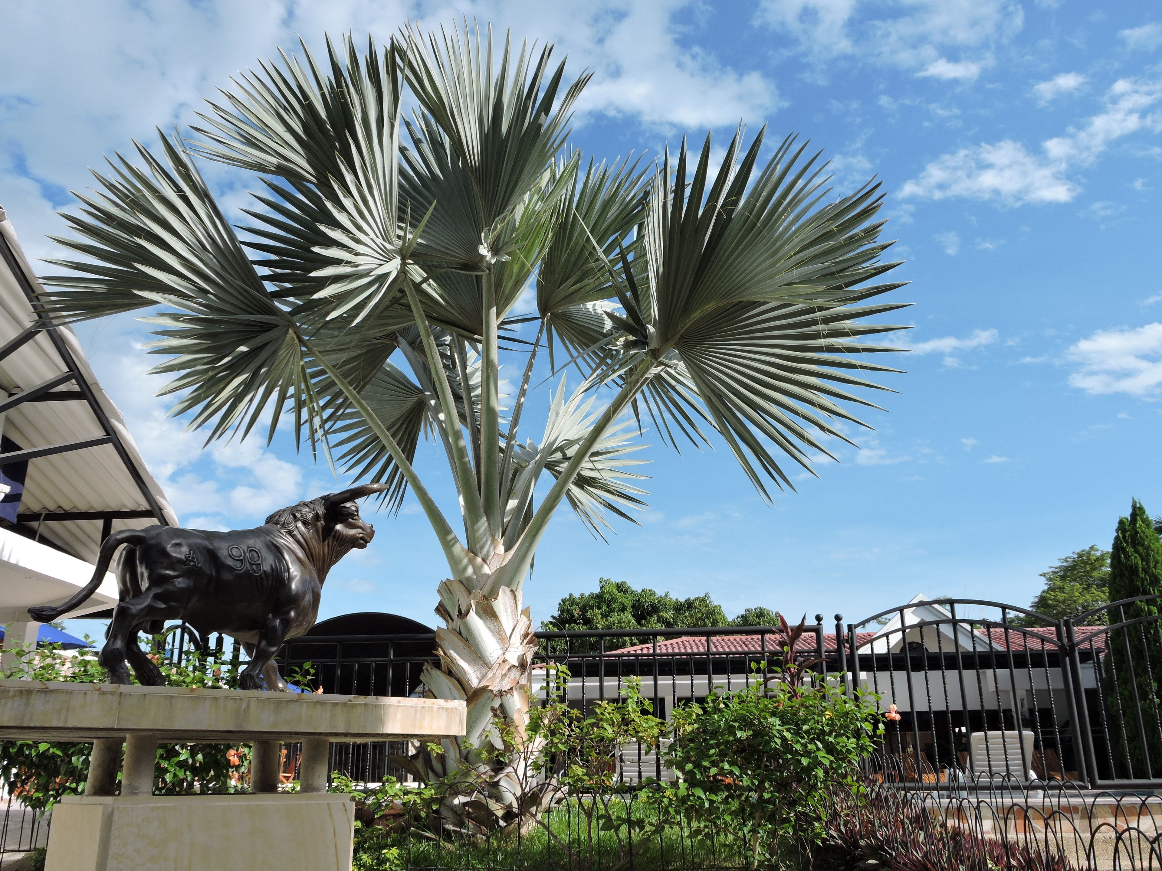 Servicios del alojamiento