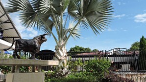 Una estatua de toro y una palmera en un patio con una cerca de metal y un edificio al fondo.