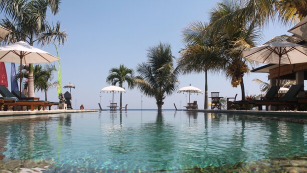 Une piscine aux eaux cristallines, agrémentée de parasols et de chaises longues, le tout entouré de palmiers.