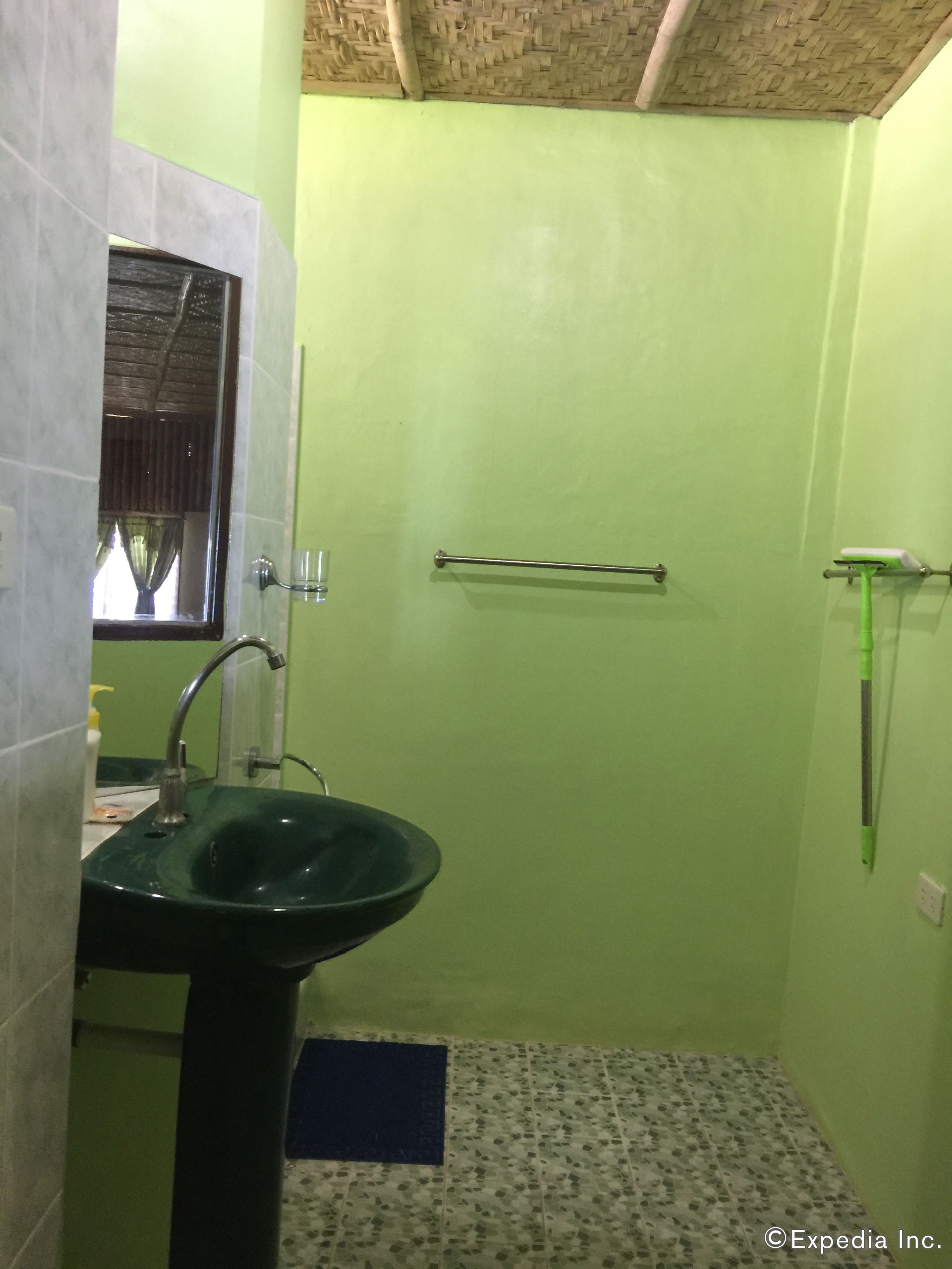 Ein Badezimmer mit grüner Wand, einem Waschbecken, einem Spiegel und einer Dusche mit Glastür und Duschkopf.