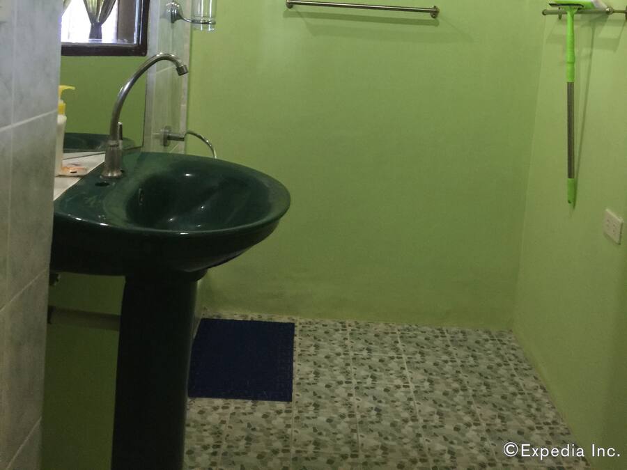 Ein Badezimmer mit grüner Wand, einem Waschbecken, einem Spiegel und einer Dusche mit Glastür und Duschkopf.