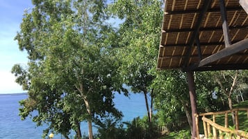 Vista desde la propiedad