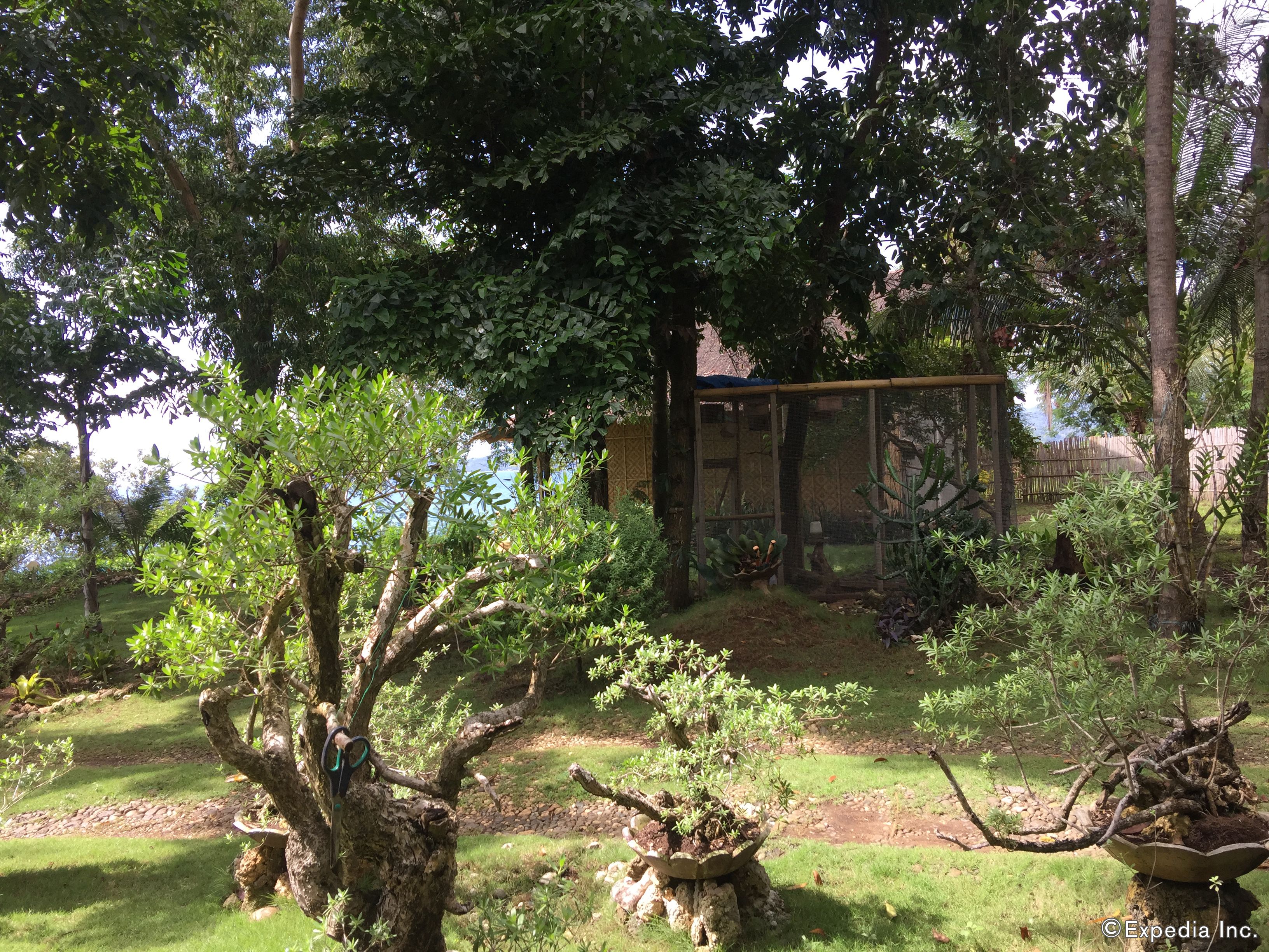A garden with various plants and trees, a wooden structure, and a stone pathway.