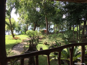 Vườn