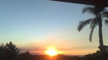 Un atardecer sobre un campo cubierto de hierba, con una palmera y una masa de agua al fondo.