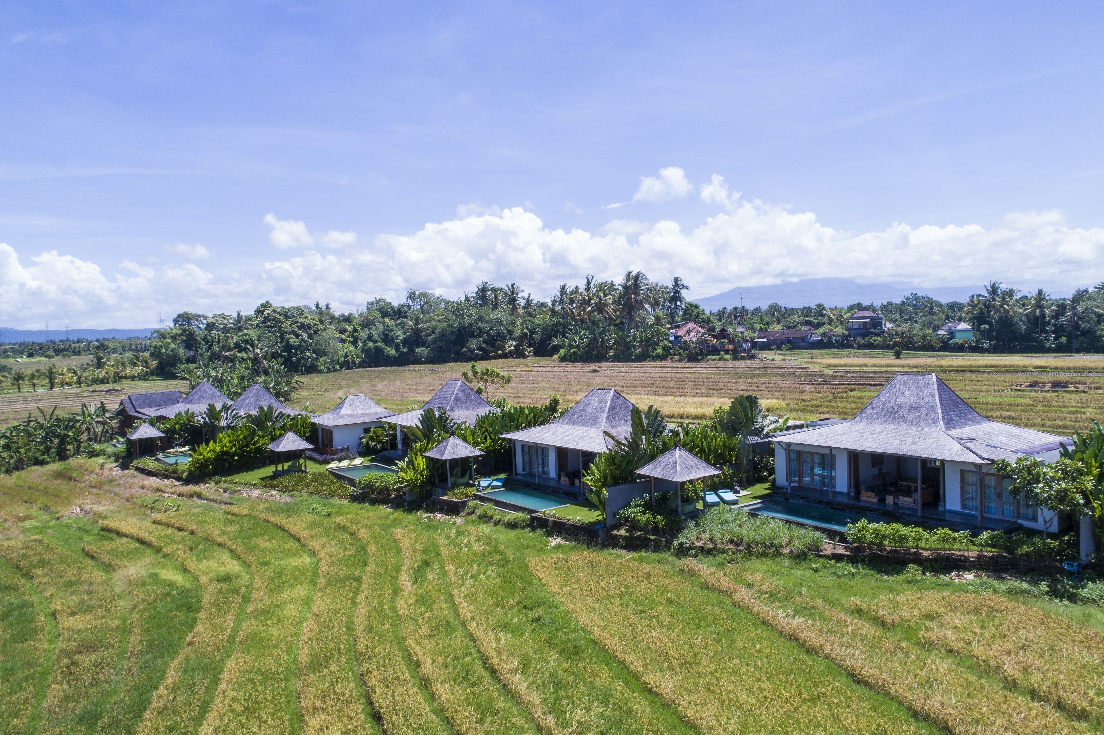 Un resort con varias villas, cada una con piscina privada y rodeada de exuberante vegetación y campos.