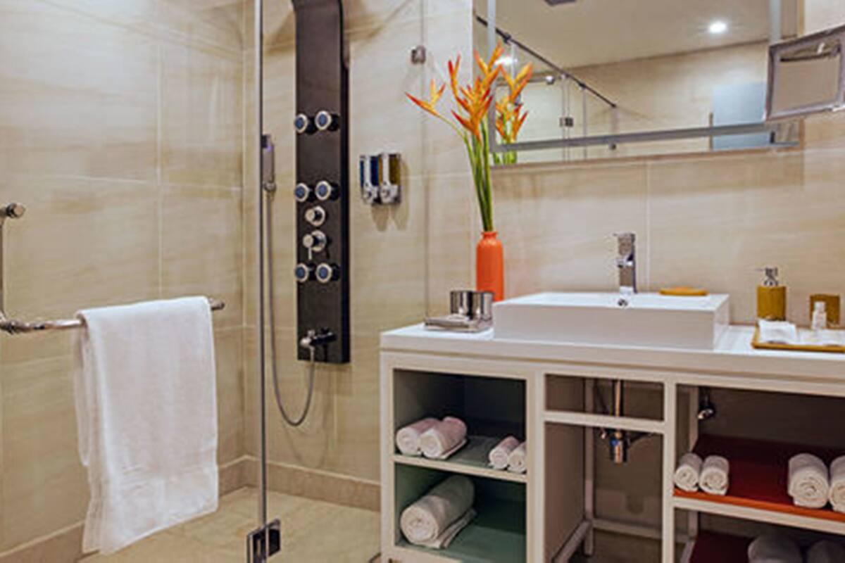 shower, free toiletries, hair dryer, slippers