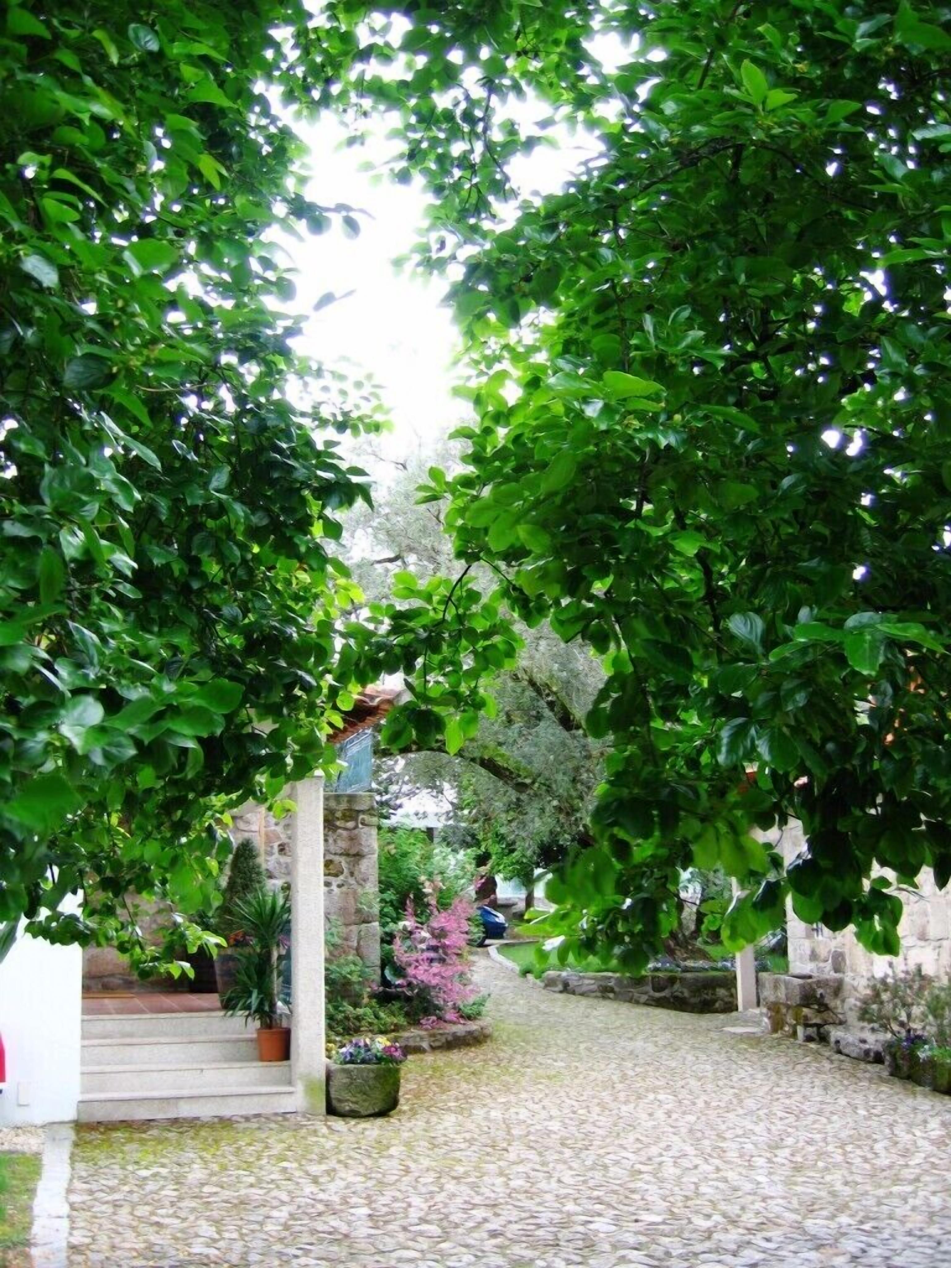 Photo - Quinta Vale do Homem