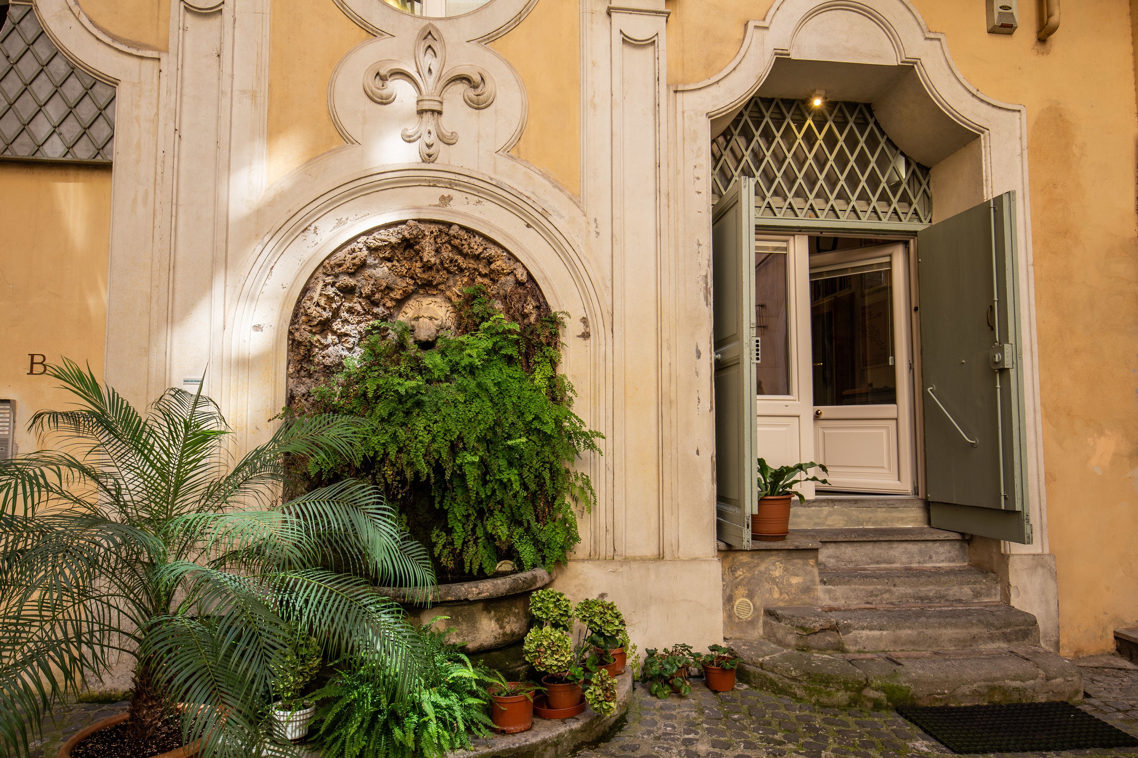 A building entrance with a stone staircase, a door, and potted plants.