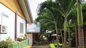 Un patio con un sendero, palmeras y un edificio con cercado verde y plantas en macetas.