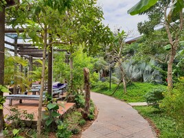 Una piscina al aire libre, sombrillas, sillones reclinables de piscina