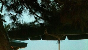 An outdoor dining area with tables and chairs, a railing, and a view of the sea. - Porto Matina Hotel (Polygyros)