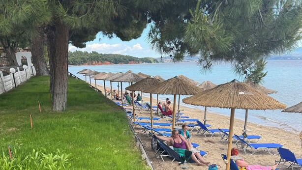 Una playa con filas de sillas azules y sombrillas de paja, un área verde con árboles y vistas al mar.