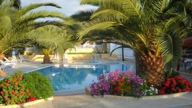 Uma área de piscina com palmeiras e canteiros de flores.