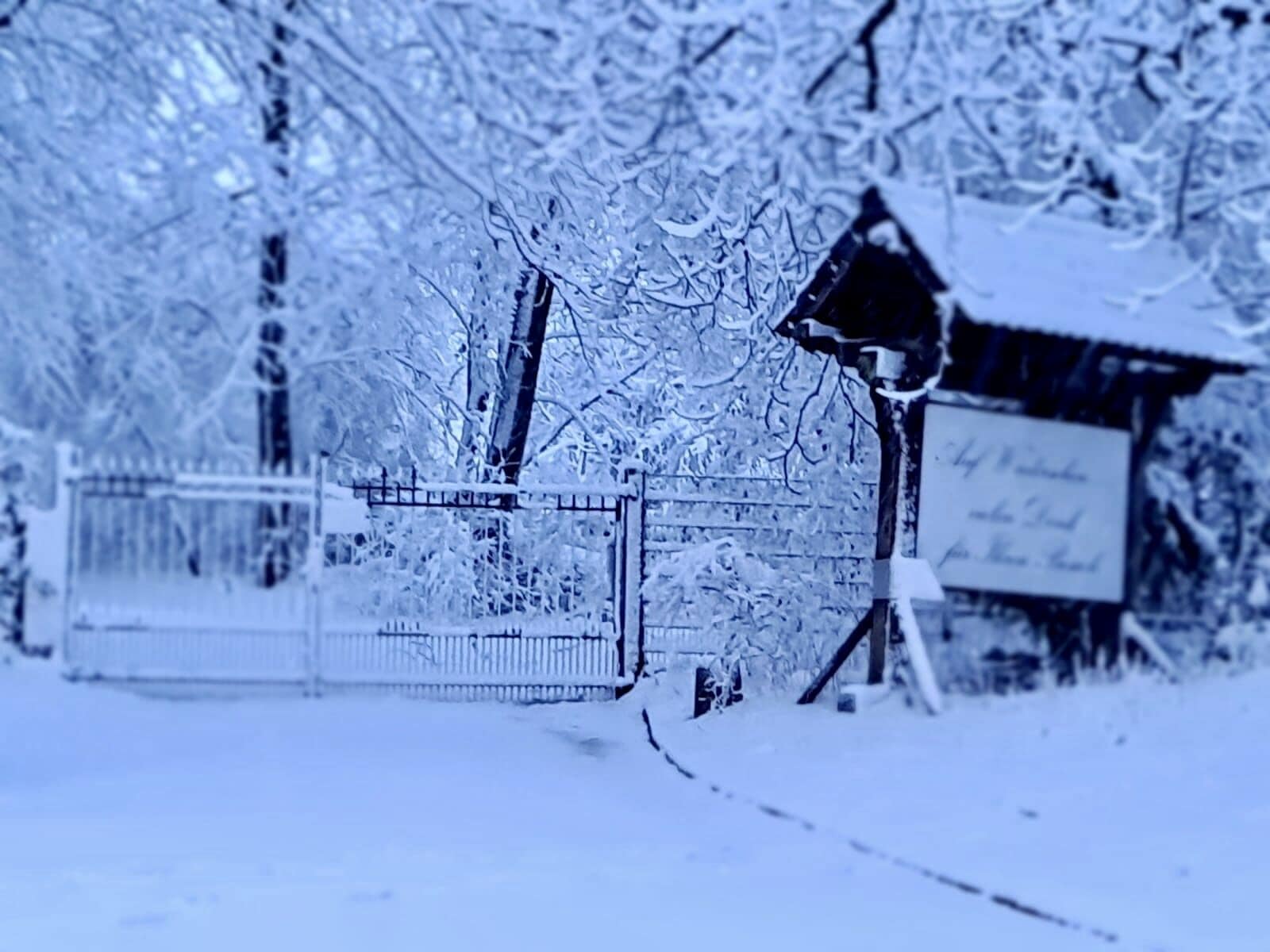 Photo - Hotel Gut Moschenhof