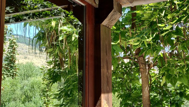 A wooden structure with a sign that reads "Café de la Montagne". - Hotel Ribera del Corneja (Navacepedilla de Corneja)