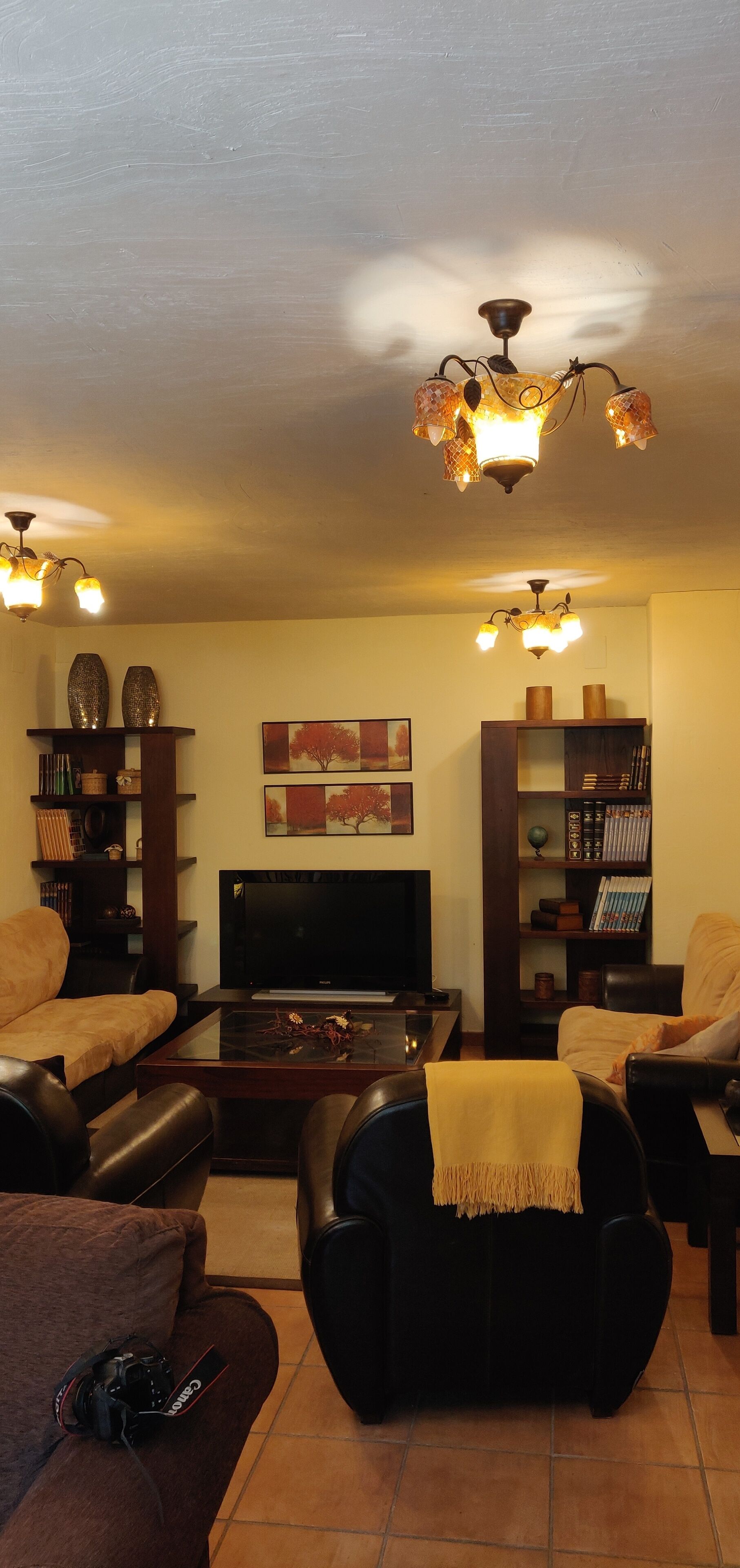 A living room with a TV, sofas, a coffee table, and decorative items.
