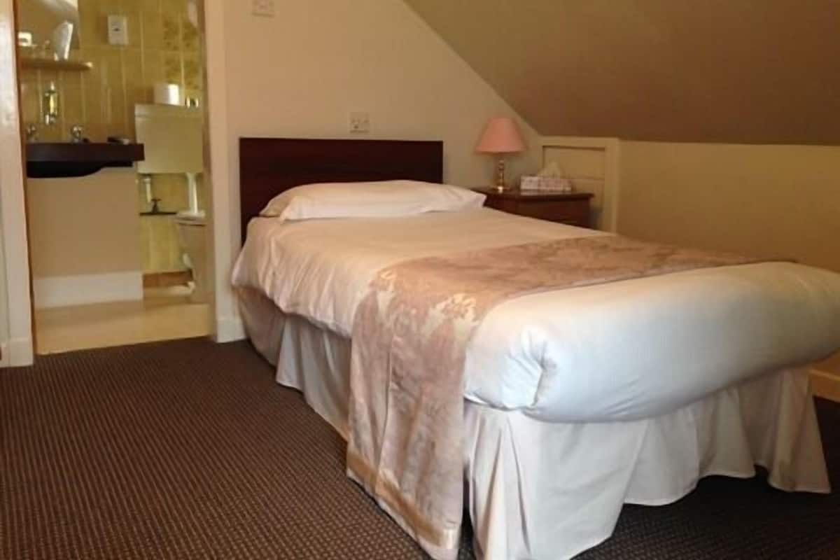 Twin Room, Ensuite | Iron/ironing board (on request), free WiFi