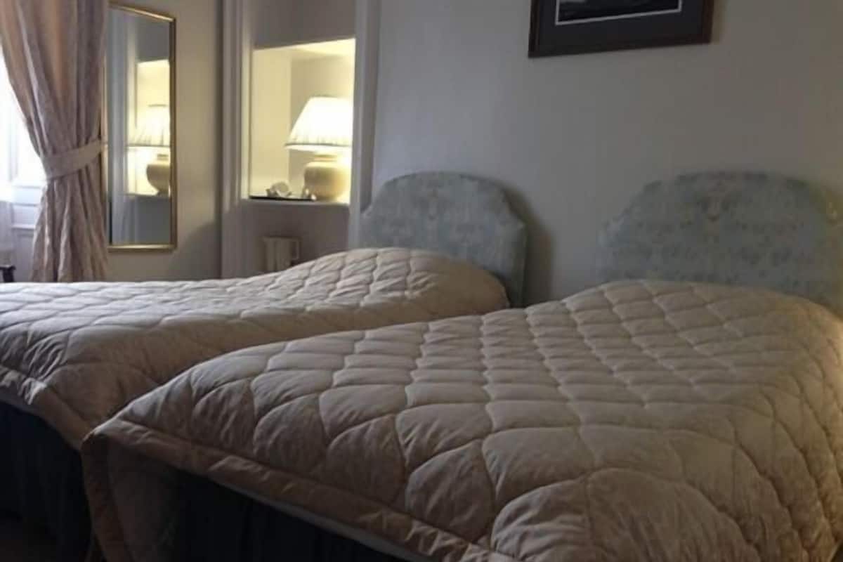 Double or Twin Room, Ensuite | Iron/ironing board (on request), free WiFi