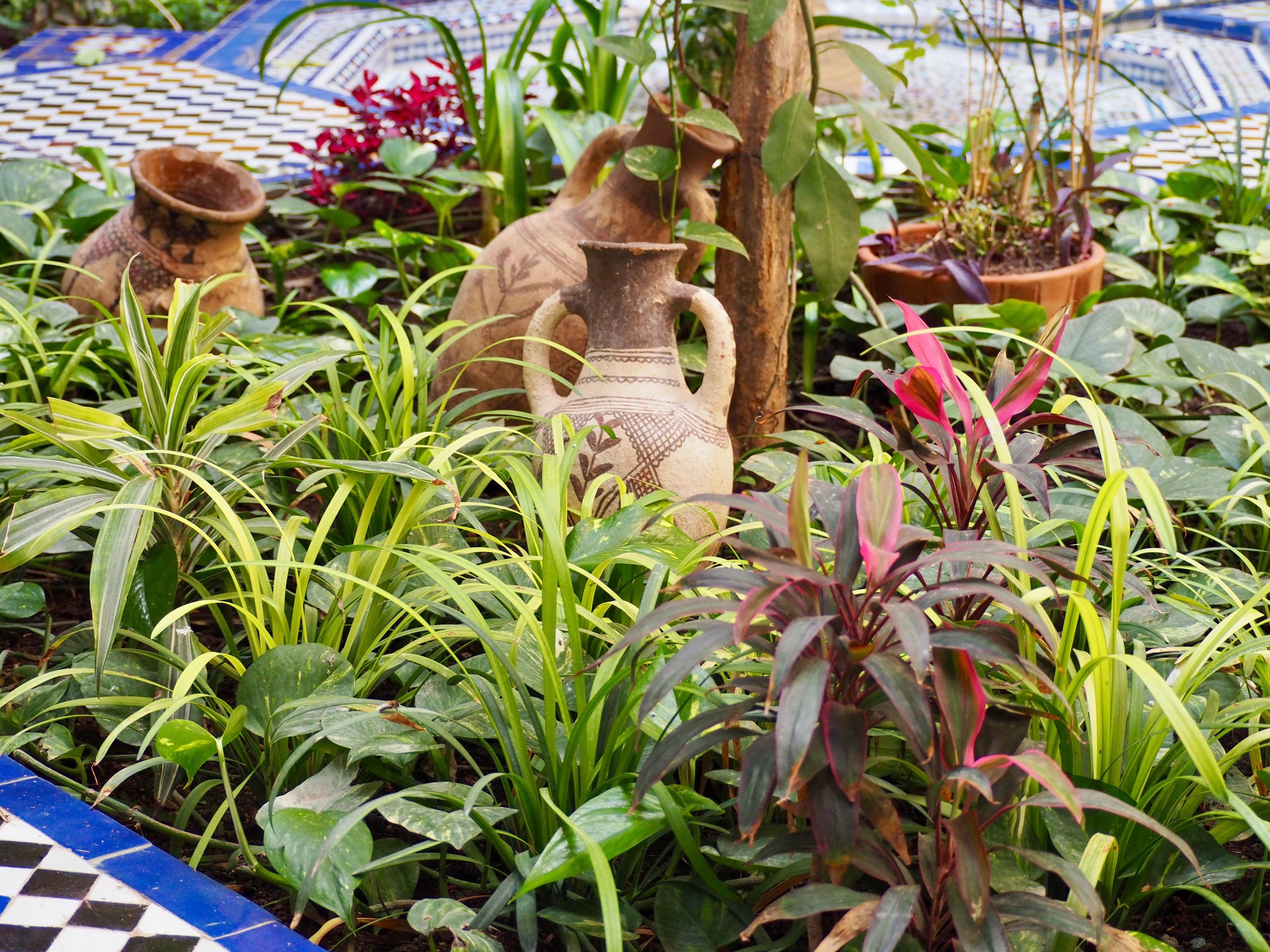 Un jardin agrémenté de diverses plantes et de pots décoratifs.