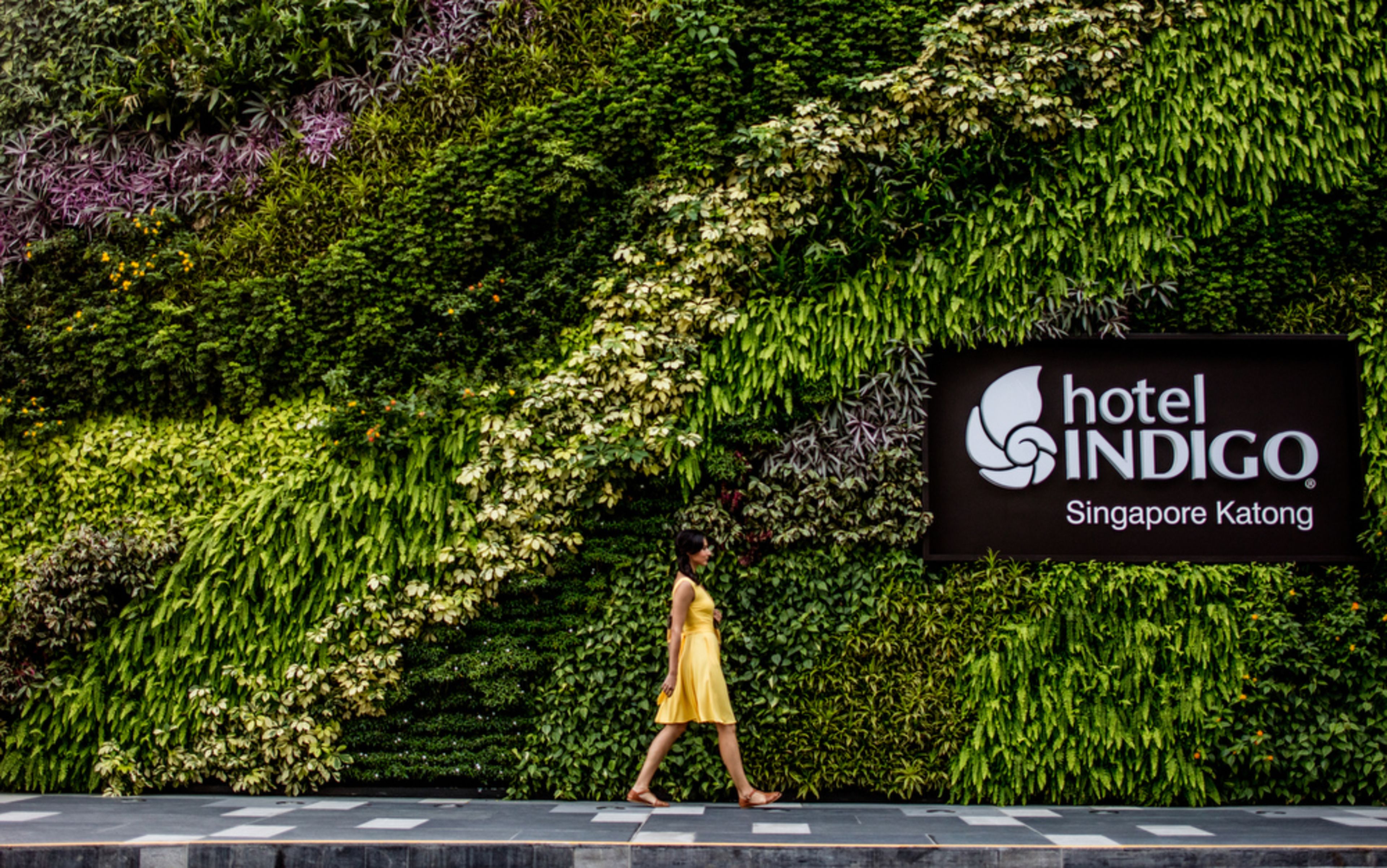 Foto - Hotel Indigo Singapore Katong by IHG