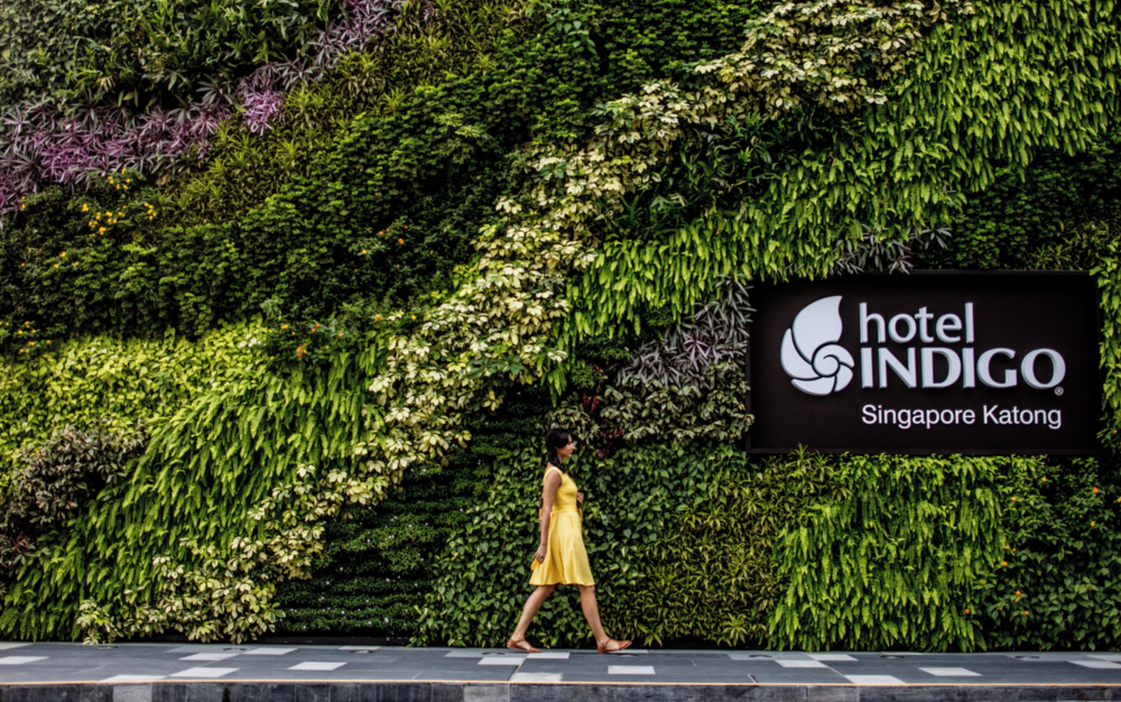 A woman walking past a lush green wall with a sign for Hotel Indigo Singapore Katong.