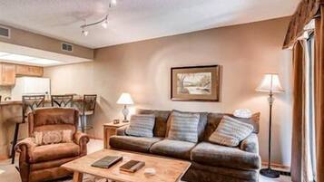 TV, fireplace, DVD player