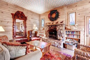 Chimenea, reproductor de DVD