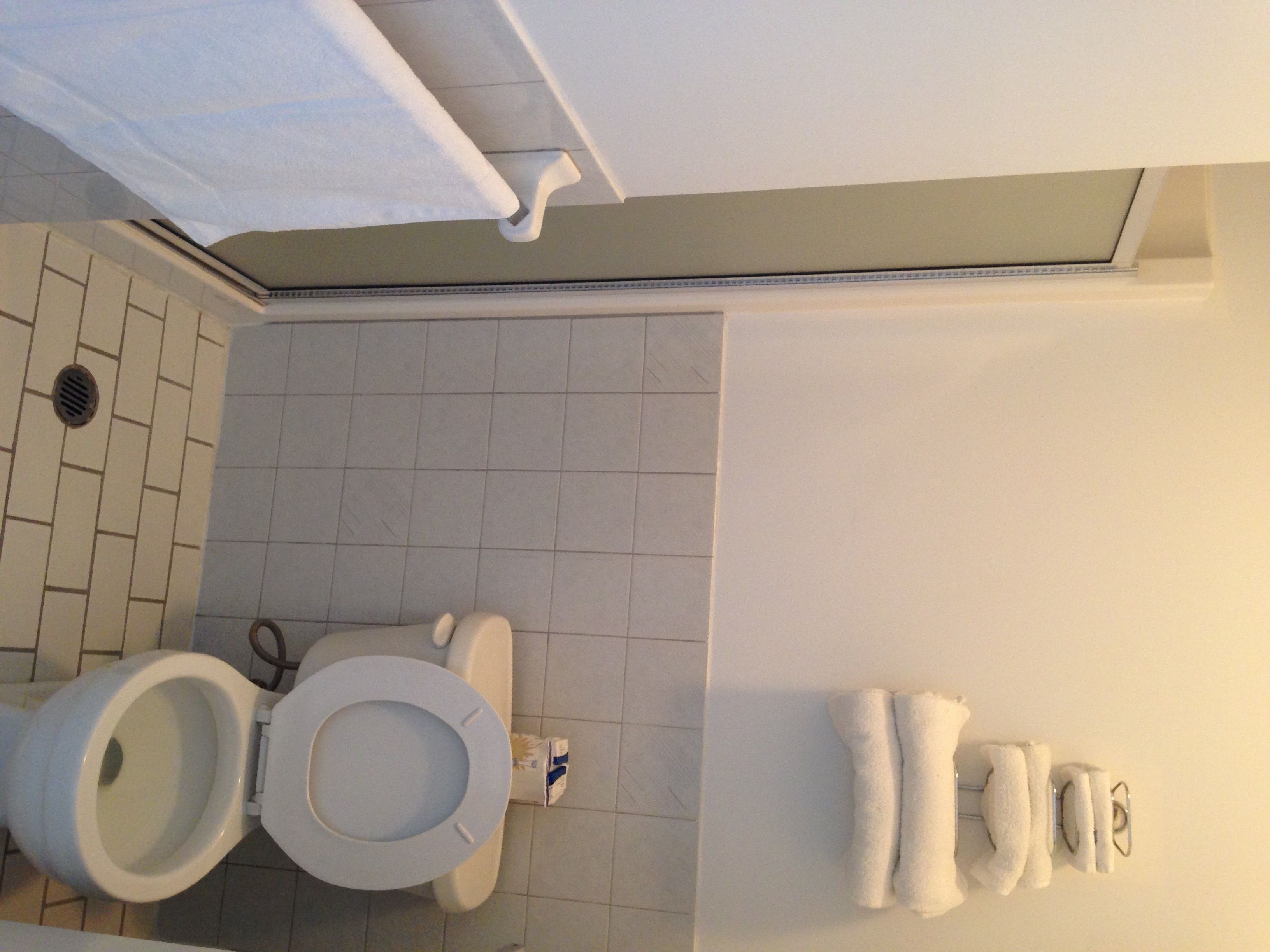 Un baño con inodoro, ducha y toallero.