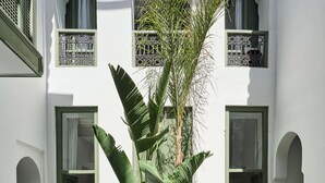 Une cour intérieure agrémentée d’une grande plante, dotée d’un sol carrelé et bordée d’un bâtiment comportant de nombreuses portes et fenêtres.