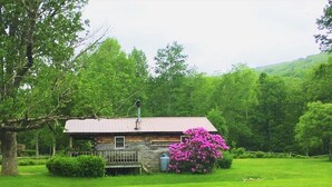 A rustic cabin with a metal roof, surrounded by lush green grass and trees. - Cold Spring Lodge (Big Indian)