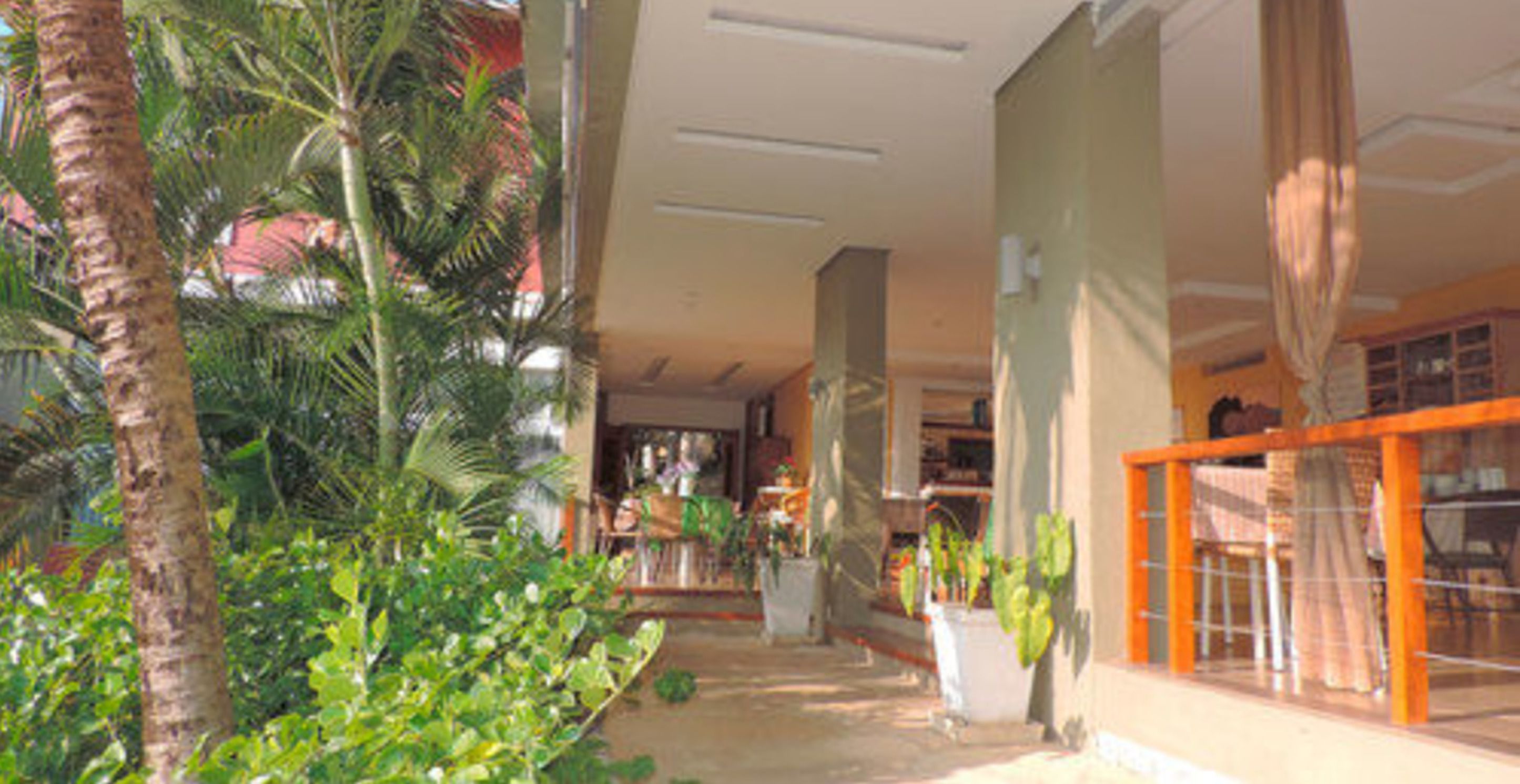 Un pasillo con una palmera y plantas en macetas, que conduce a una habitación con vistas al exterior.