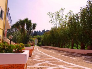 Jardín