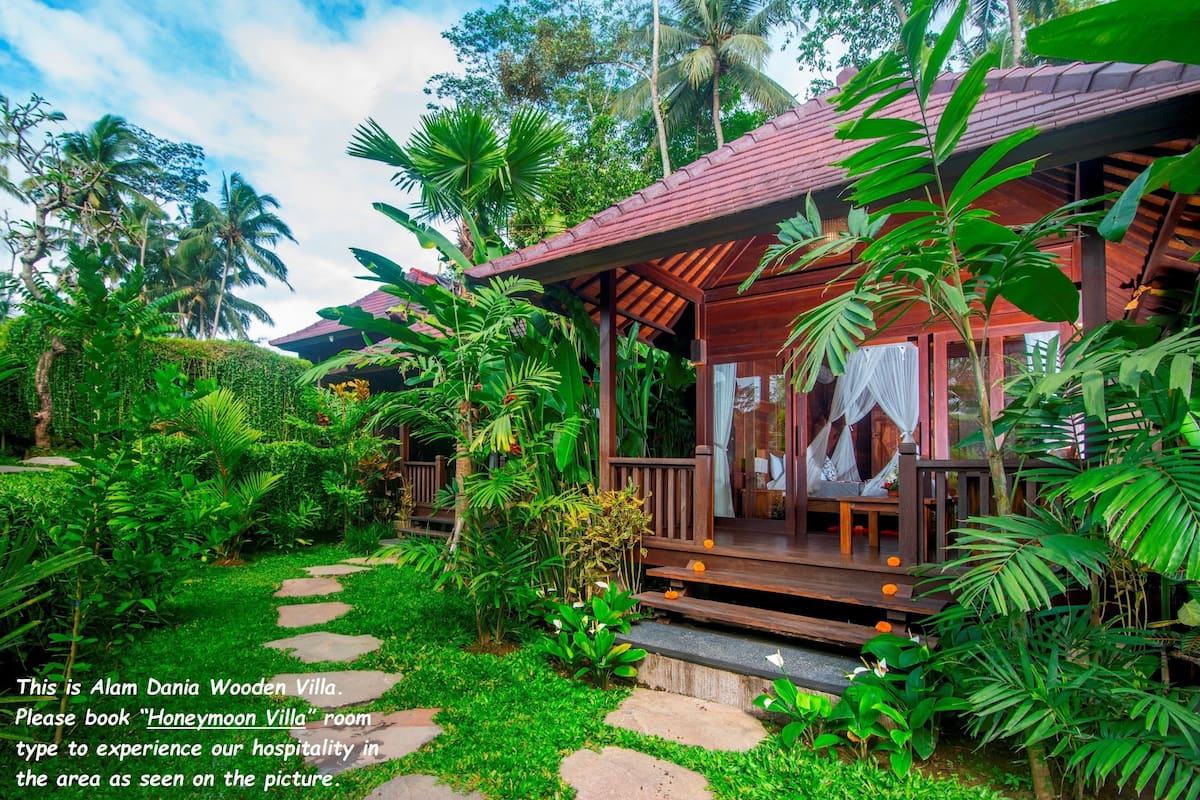 Wooden Villa