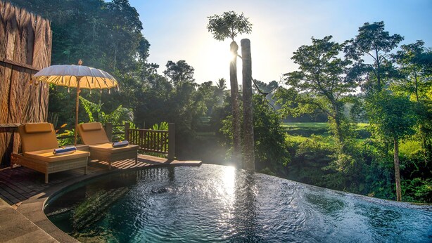 A private pool with lounge chairs and an umbrella, surrounded by lush greenery and a wooden structure. - Alam Dania Cottage (Ubud)