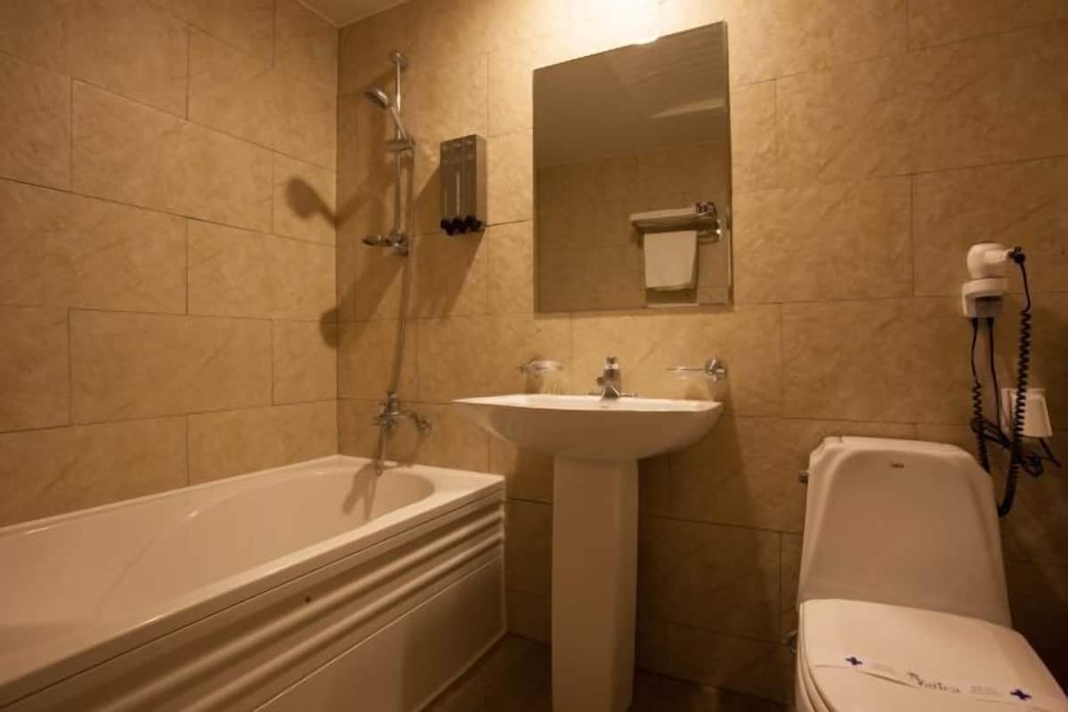 Combined shower/tub, hair dryer, bathrobes, slippers