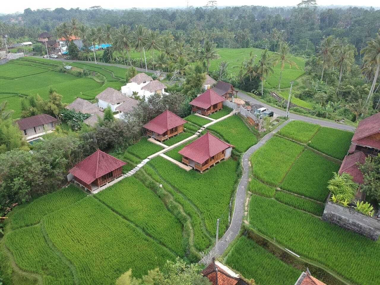Foto - Ubud Sawah Scenery Villa and Homestay