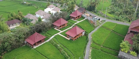 A rural area with several traditional houses with red roofs, surrounded by lush green fields and palm trees.