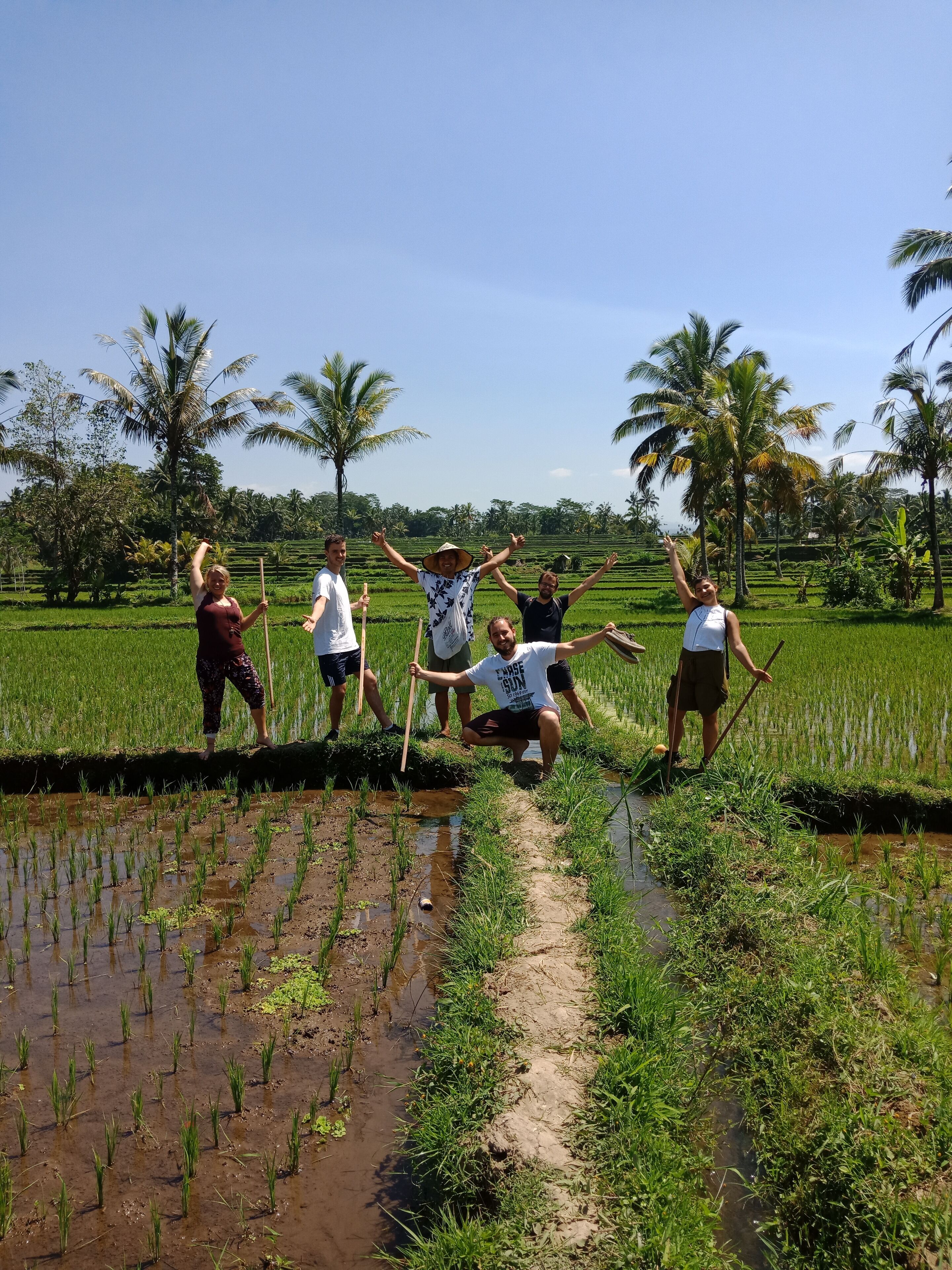 Foto - Ubud Sawah Scenery Villa and Homestay