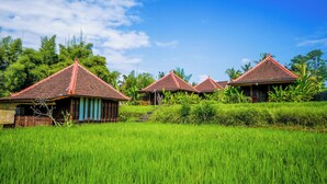 A row of traditional houses with tiled roofs, surrounded by lush green rice fields.