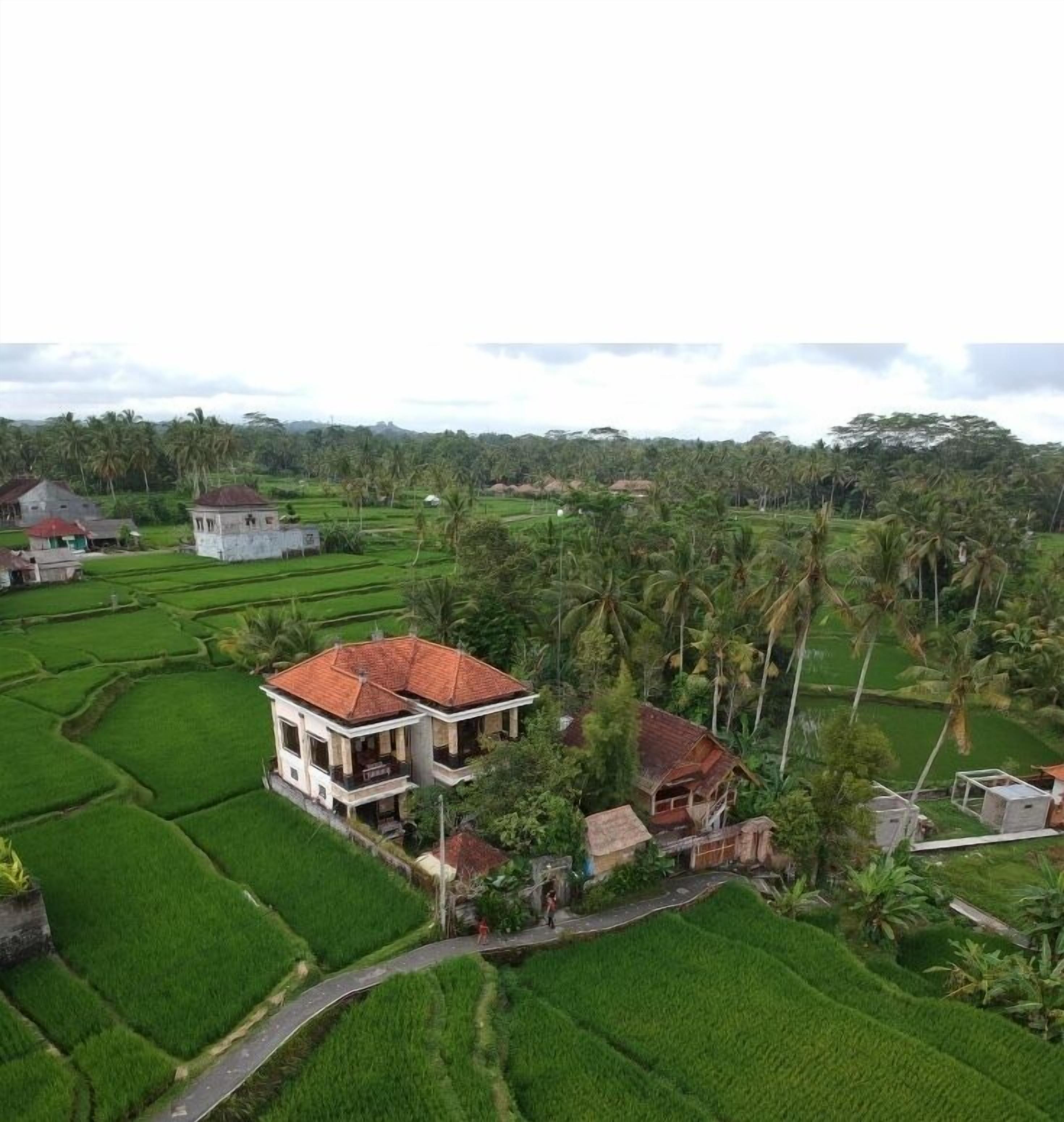 Foto - Ubud Sawah Scenery Villa and Homestay