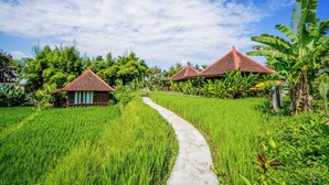 A pathway through lush green rice fields leading to traditional houses with red roofs. - Ubud Sawah Homestay (Tegallalang)